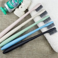 Wholesale custom biodegradable eco friendly wheat straw toothbrush